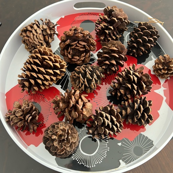 ⭐️🌴 Cinnamon Scented Pine Cones - Picture 1 of 2